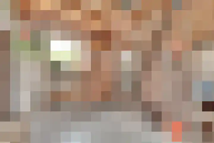 Tragel Oost 7 Schoondijke thumbnail 24