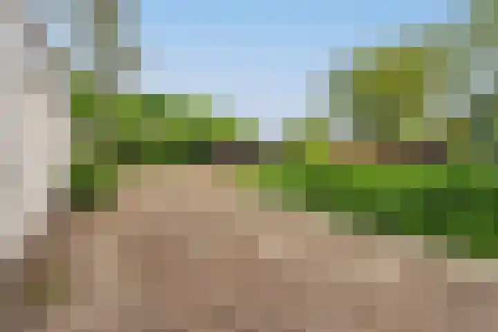 Tragel Oost 7 Schoondijke thumbnail 25