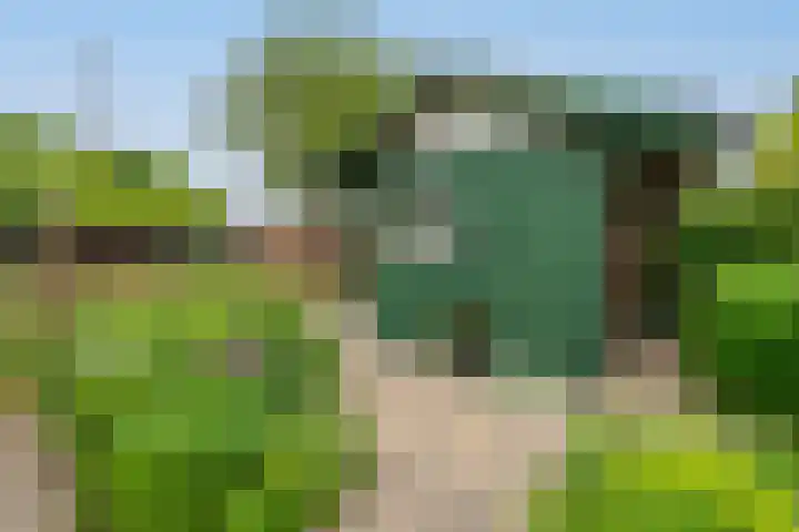 Tragel Oost 7 Schoondijke thumbnail 26