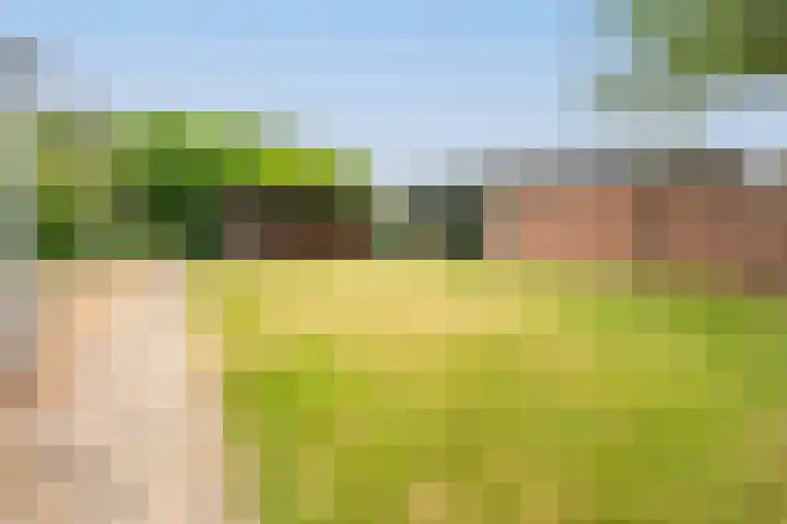 Tragel Oost 7 Schoondijke thumbnail 27
