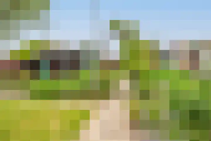 Tragel Oost 7 Schoondijke thumbnail 28