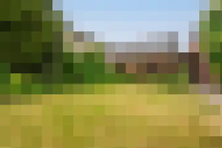 Tragel Oost 7 Schoondijke thumbnail 29