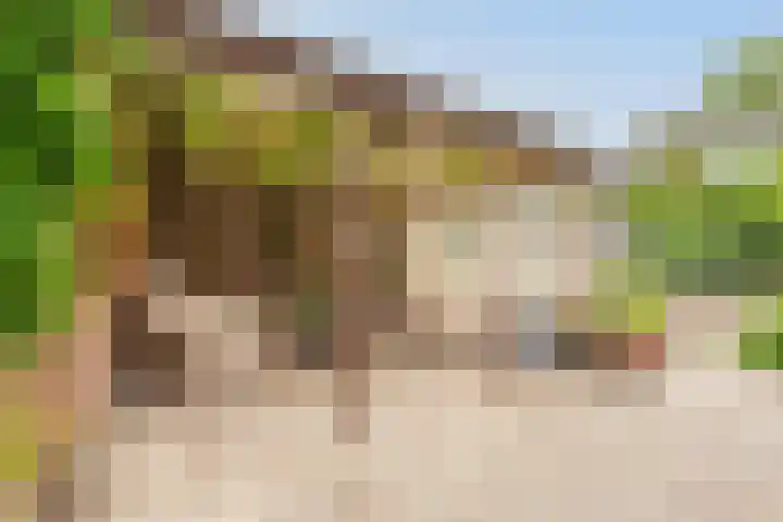 Tragel Oost 7 Schoondijke thumbnail 30