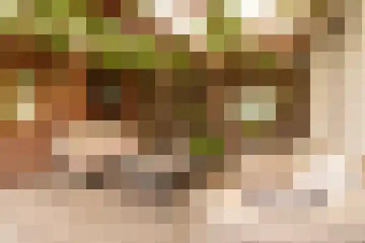 Tragel Oost 7 Schoondijke thumbnail 31