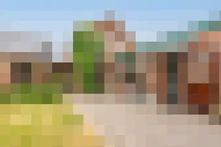 Tragel Oost 7 Schoondijke thumbnail 32