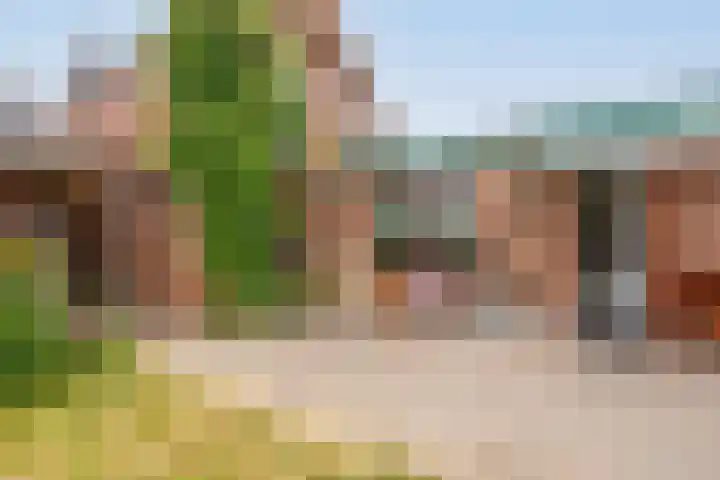Tragel Oost 7 Schoondijke thumbnail 33