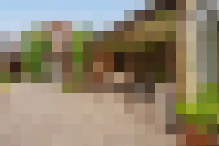Tragel Oost 7 Schoondijke thumbnail 34