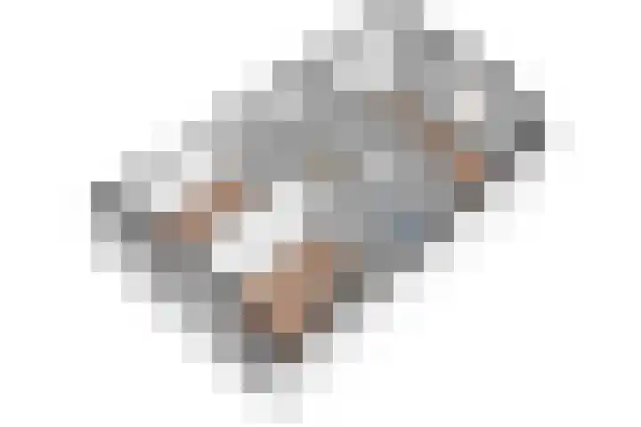 Tragel Oost 7 Schoondijke thumbnail 39