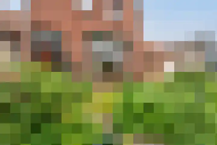 Tragel Oost 7 Schoondijke thumbnail 4