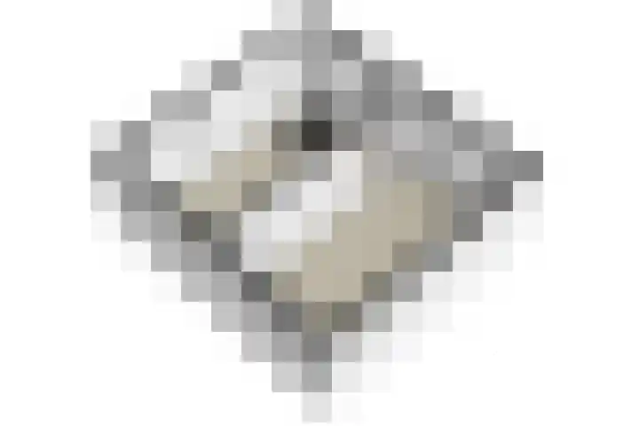 Tragel Oost 7 Schoondijke thumbnail 41