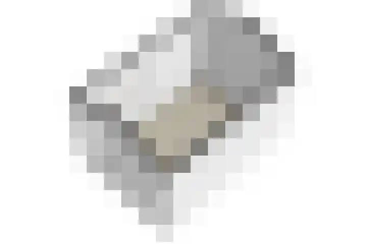 Tragel Oost 7 Schoondijke thumbnail 45