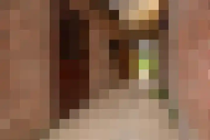 Tragel Oost 7 Schoondijke thumbnail 5
