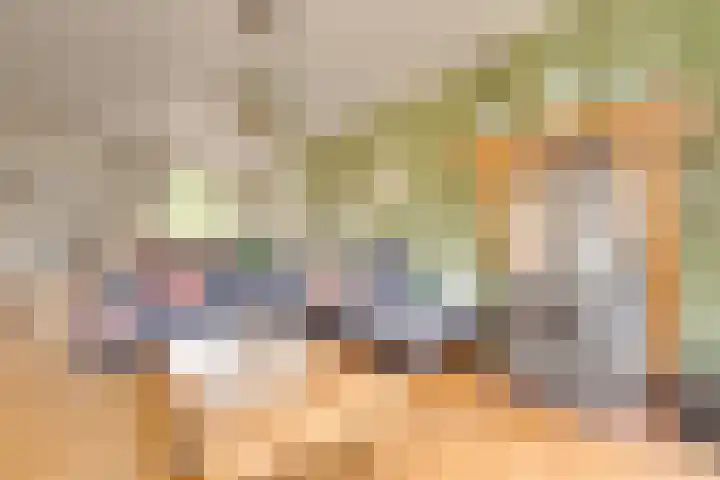 Tragel Oost 7 Schoondijke thumbnail 8