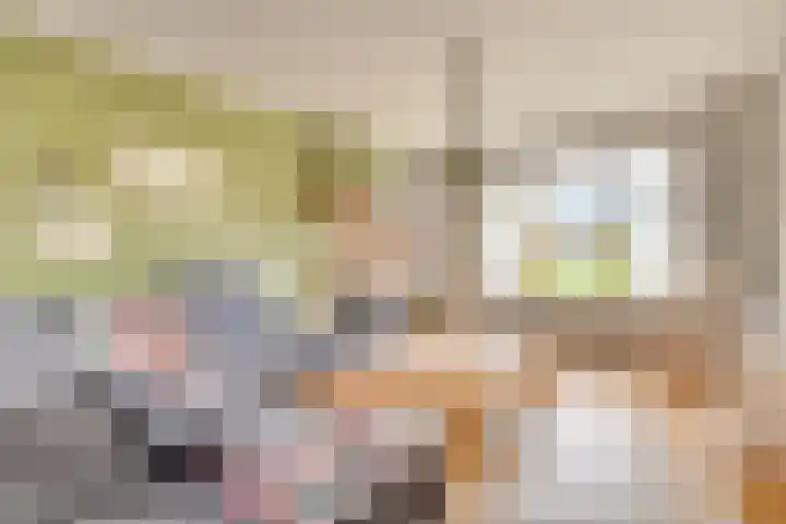 Tragel Oost 7 Schoondijke thumbnail 9