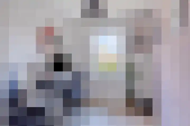 Tragelsingel 34 Oostburg thumbnail 16