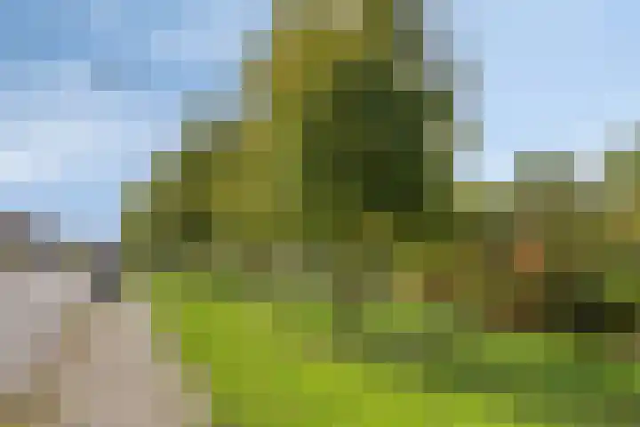 Tragelsingel 34 Oostburg thumbnail 26