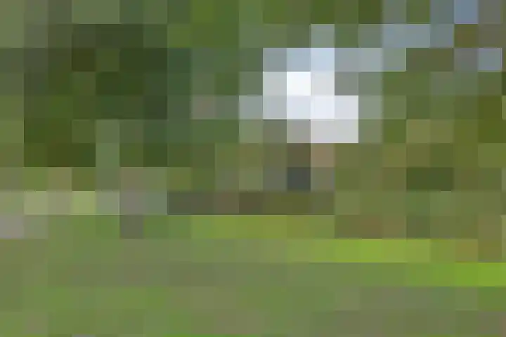 Tragelsingel 34 Oostburg thumbnail 27