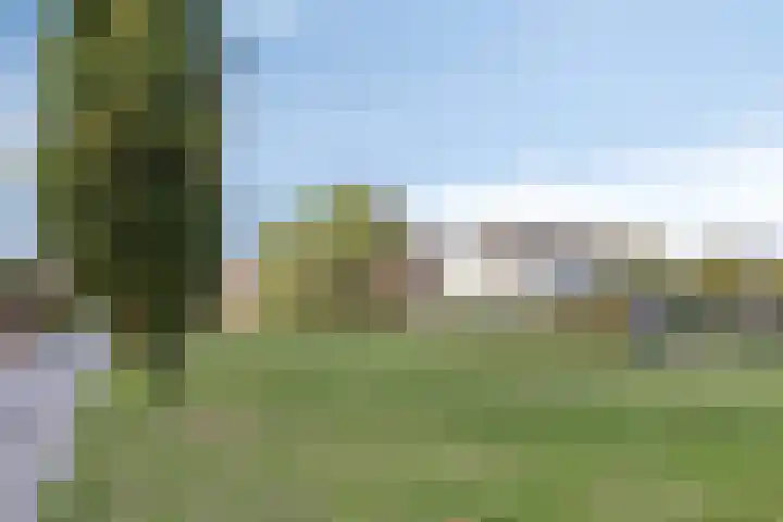 Tragelsingel 34 Oostburg thumbnail 28