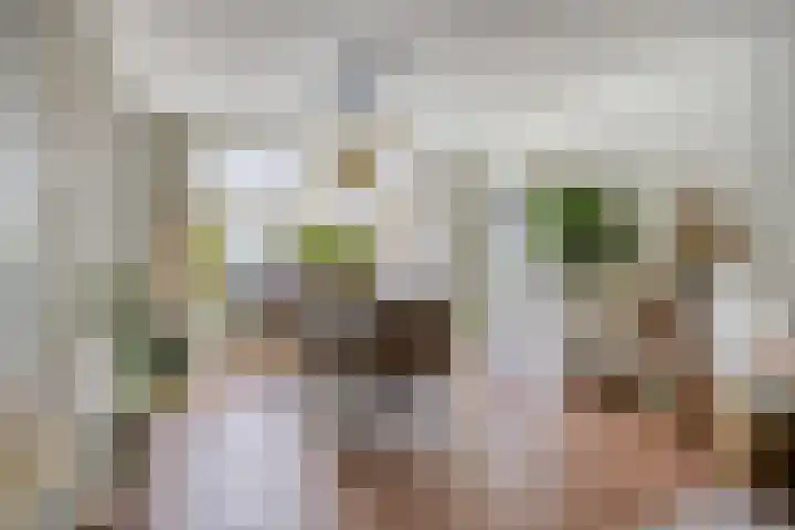 Tragelsingel 34 Oostburg thumbnail 5