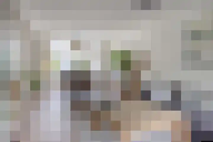 Tragelsingel 34 Oostburg thumbnail 7
