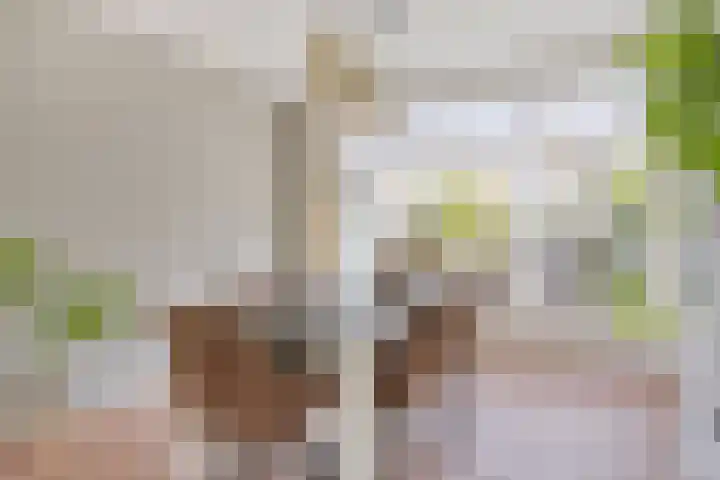 Tragelsingel 34 Oostburg thumbnail 8