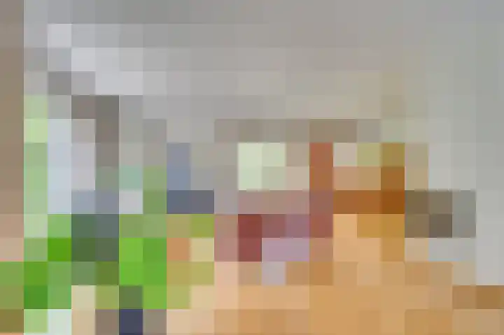 Traianuslaan 4 Venlo thumbnail 20