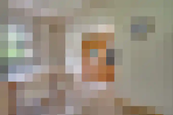 Traianuslaan 4 Venlo thumbnail 24