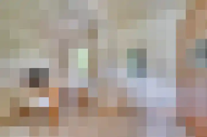 Traianuslaan 4 Venlo thumbnail 27