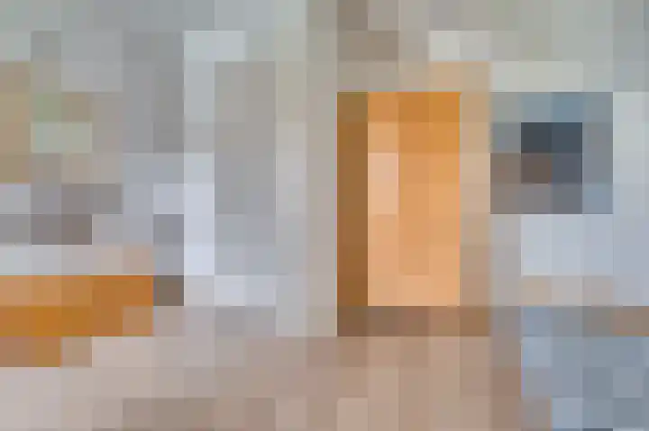 Traianuslaan 4 Venlo thumbnail 43