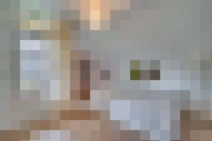 Traianuslaan 4 Venlo thumbnail 45