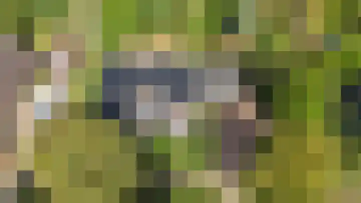 Traianuslaan 4 Venlo thumbnail 5