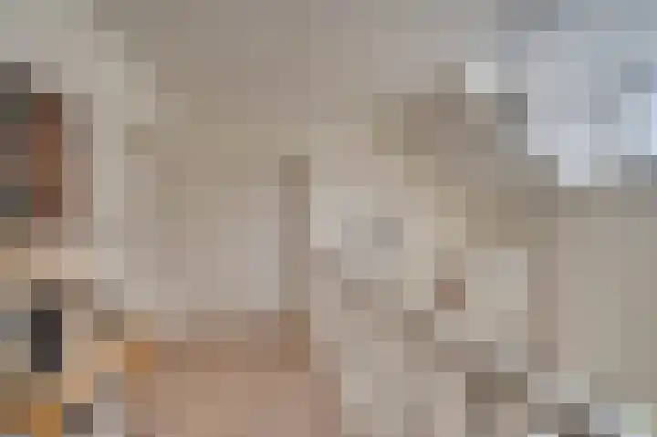 Traianuslaan 4 Venlo thumbnail 51