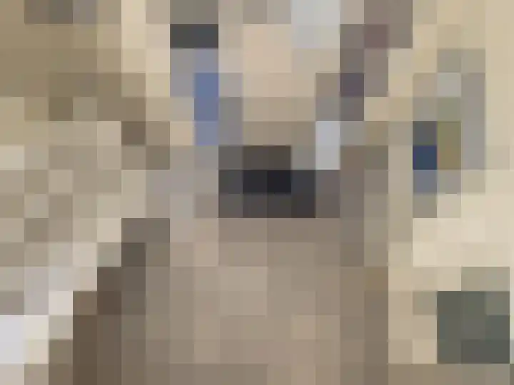 Traianuslaan 4 Venlo thumbnail 54