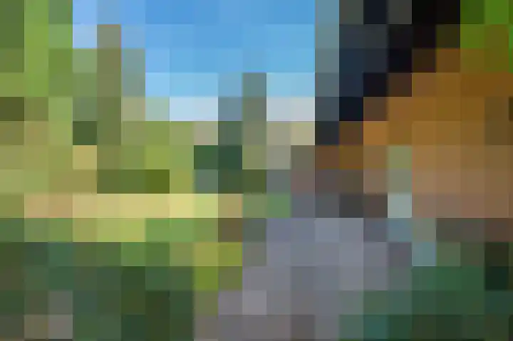 Traianuslaan 4 Venlo thumbnail 57
