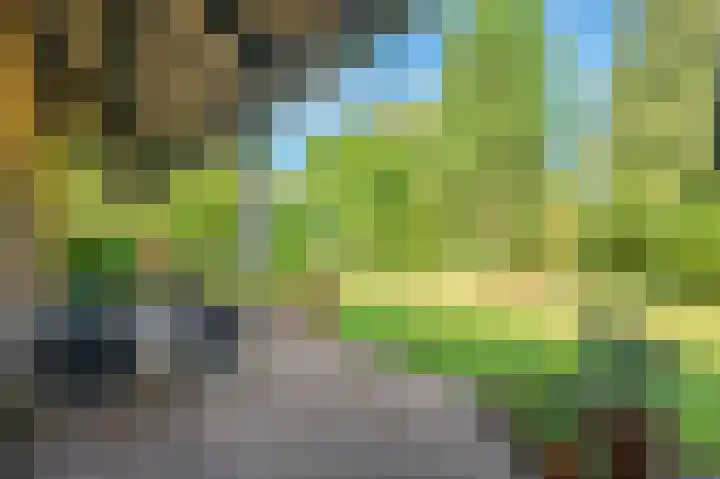 Traianuslaan 4 Venlo thumbnail 59