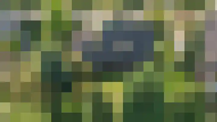 Traianuslaan 4 Venlo thumbnail 6