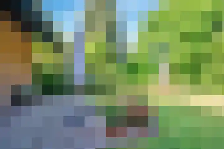 Traianuslaan 4 Venlo thumbnail 60
