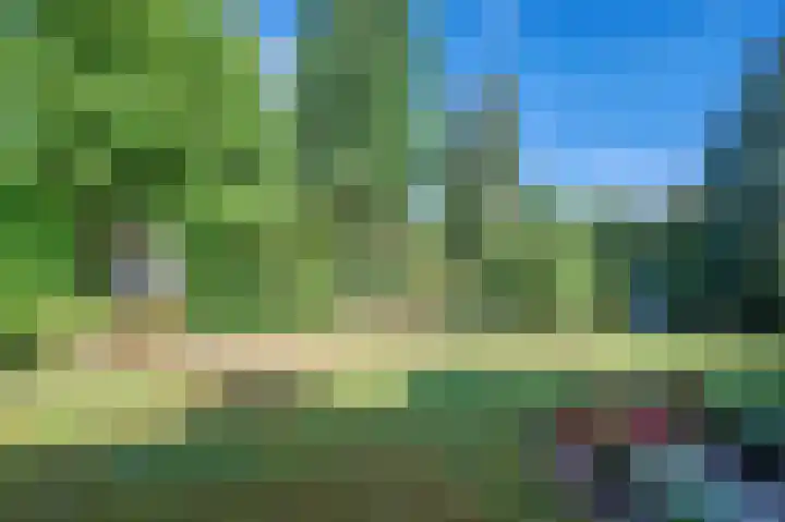 Traianuslaan 4 Venlo thumbnail 61