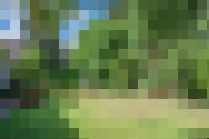 Traianuslaan 4 Venlo thumbnail 62