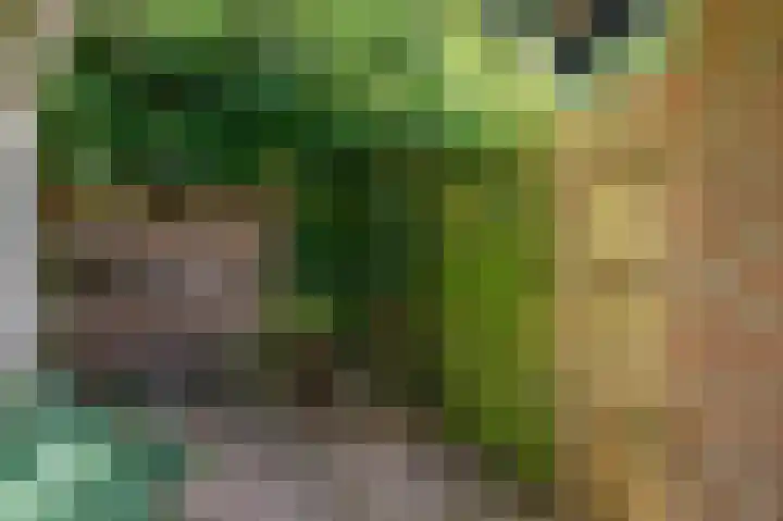 Traianuslaan 4 Venlo thumbnail 64