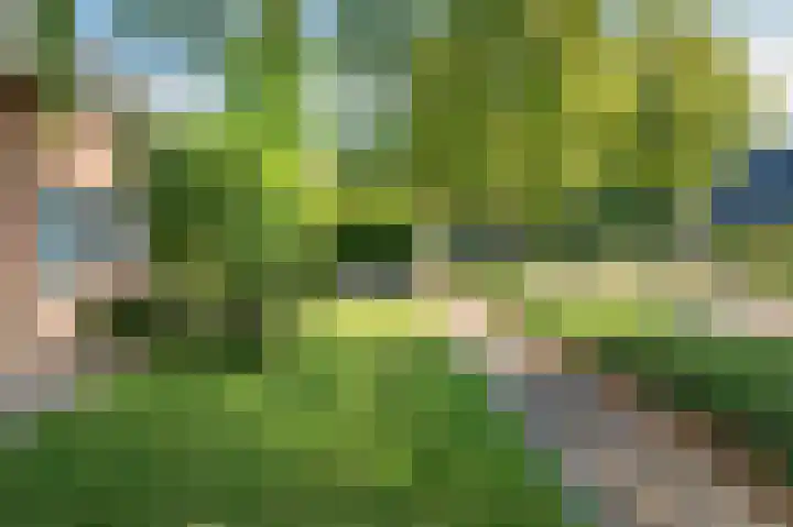 Traianuslaan 4 Venlo thumbnail 76