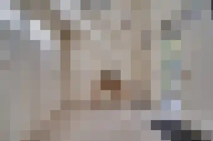 Traianuslaan 4 Venlo thumbnail 9