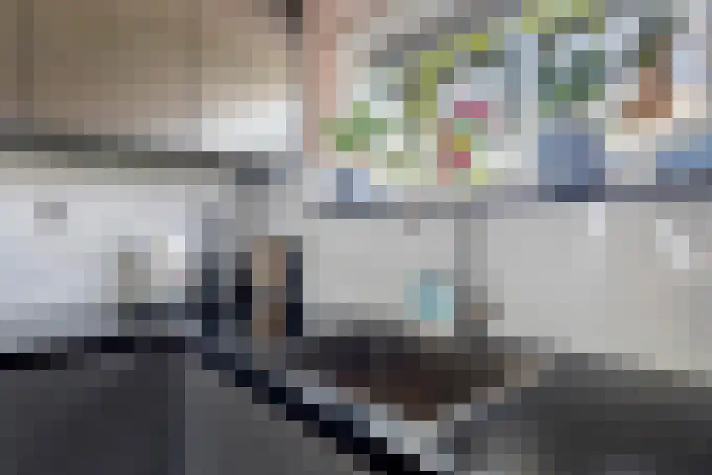 Trajanushof 11 De Meern thumbnail 11