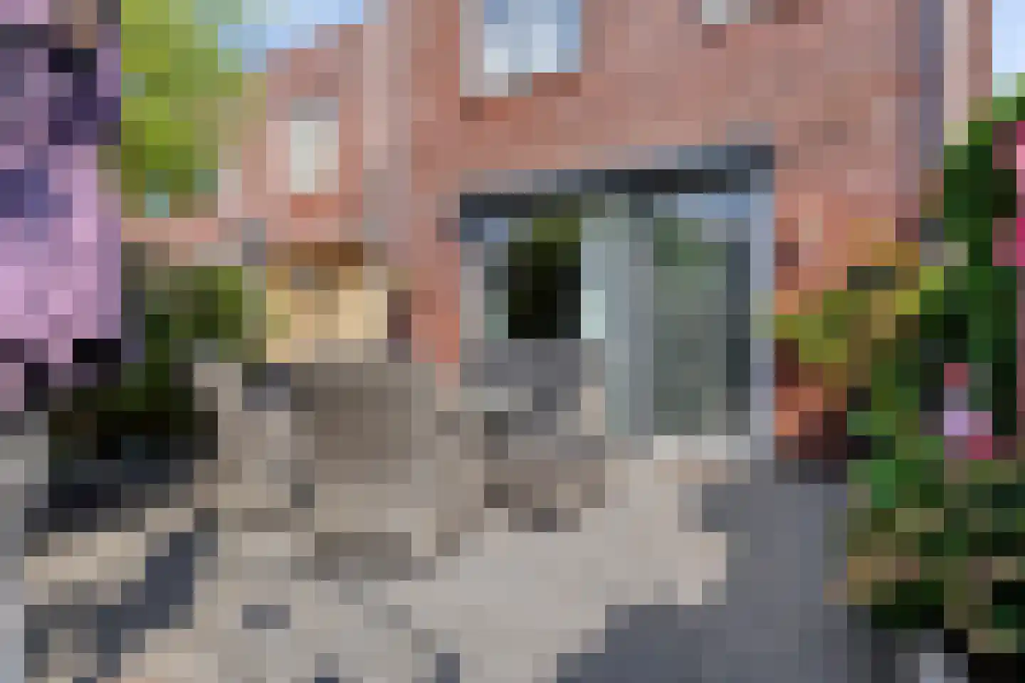 Trajanushof 11 De Meern thumbnail 15
