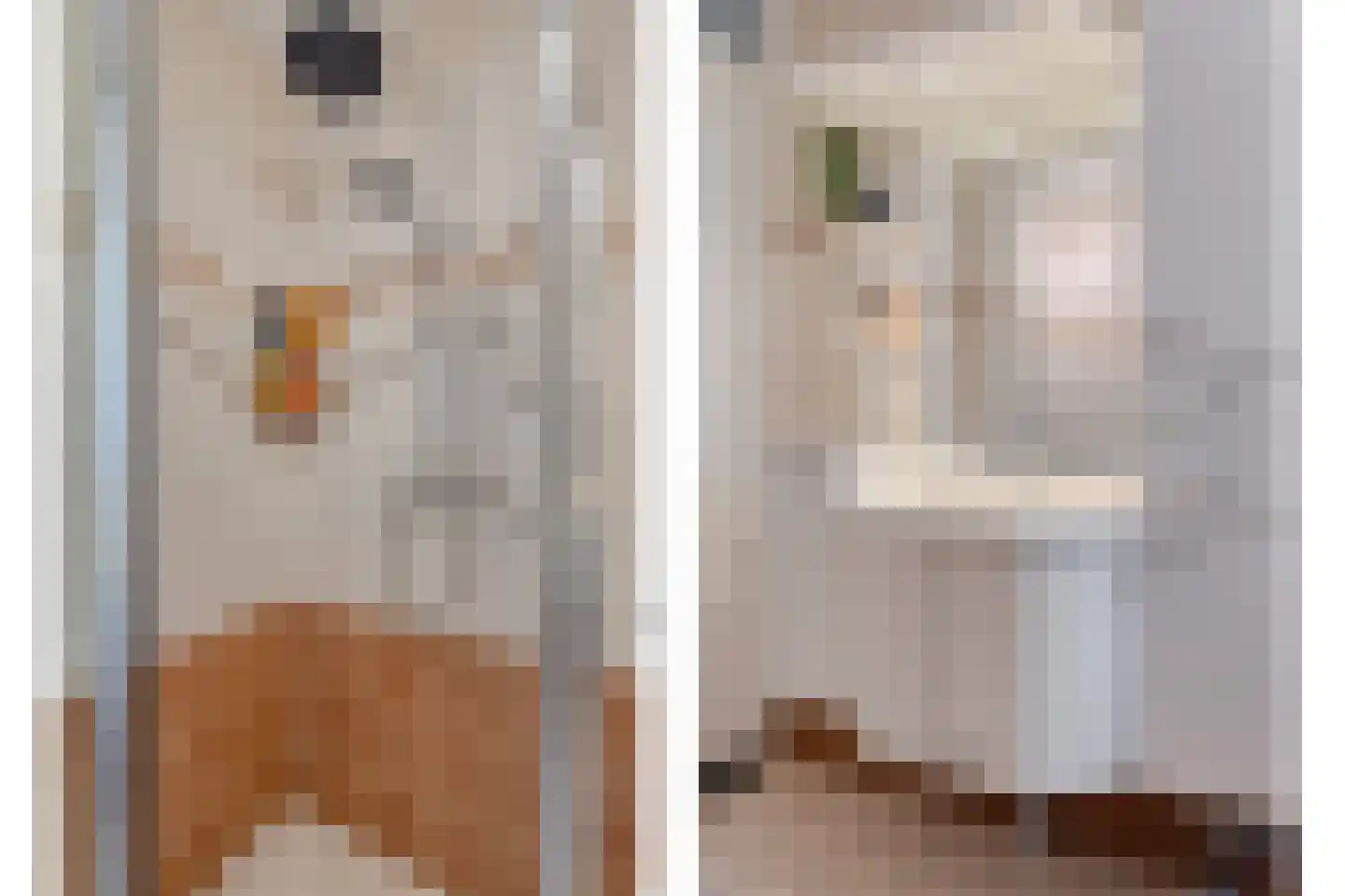 Trajanushof 11 De Meern thumbnail 23