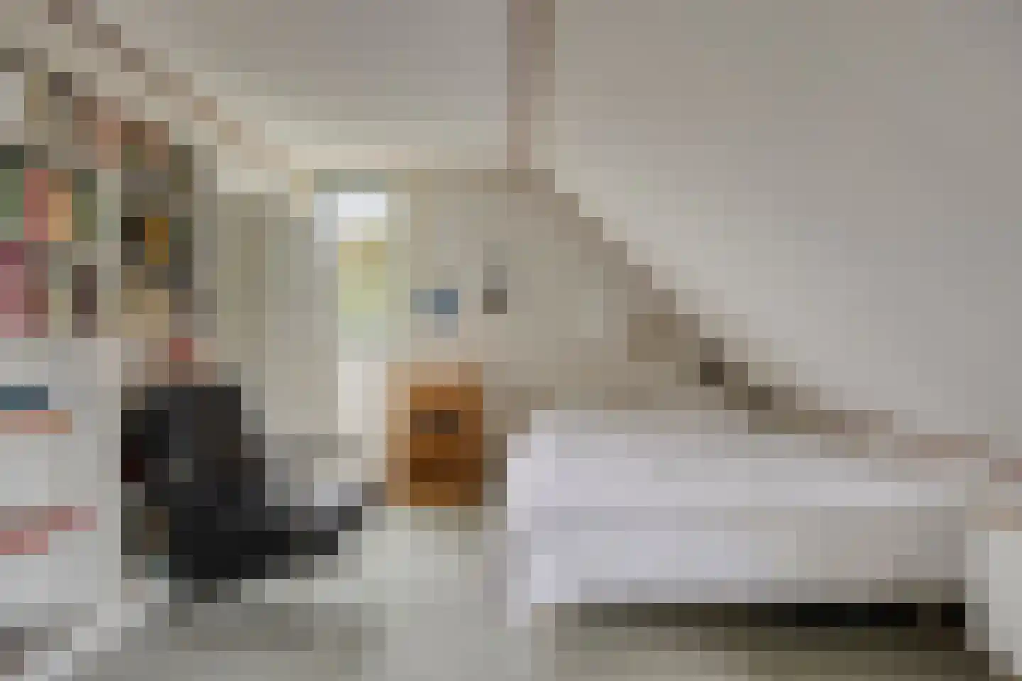 Trajanussingel 13 Beuningen Gld thumbnail 43