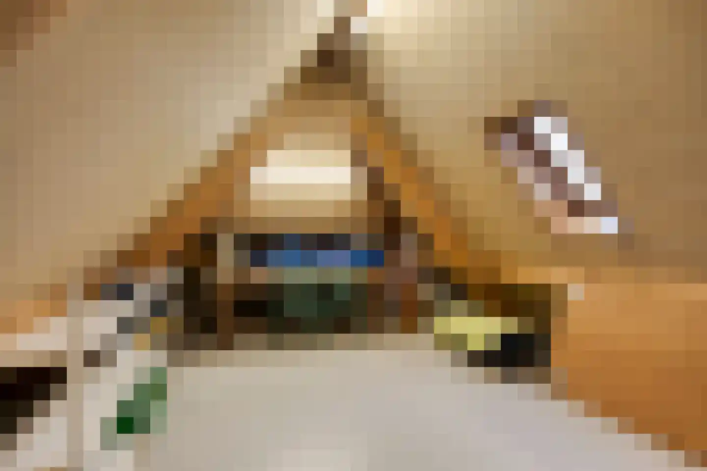 Trajanussingel 13 Beuningen Gld thumbnail 51