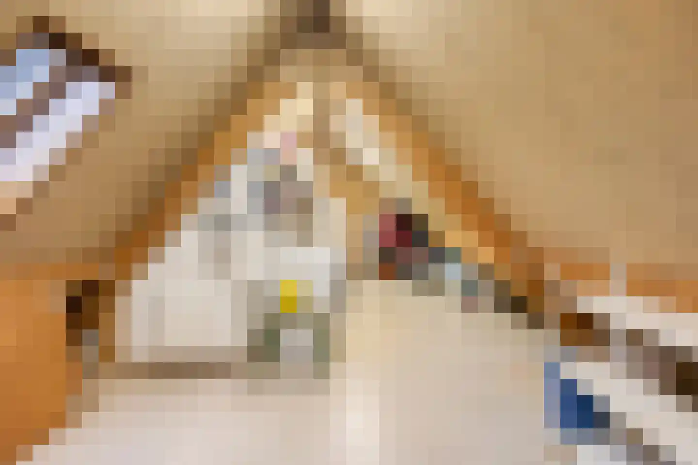 Trajanussingel 13 Beuningen Gld thumbnail 52