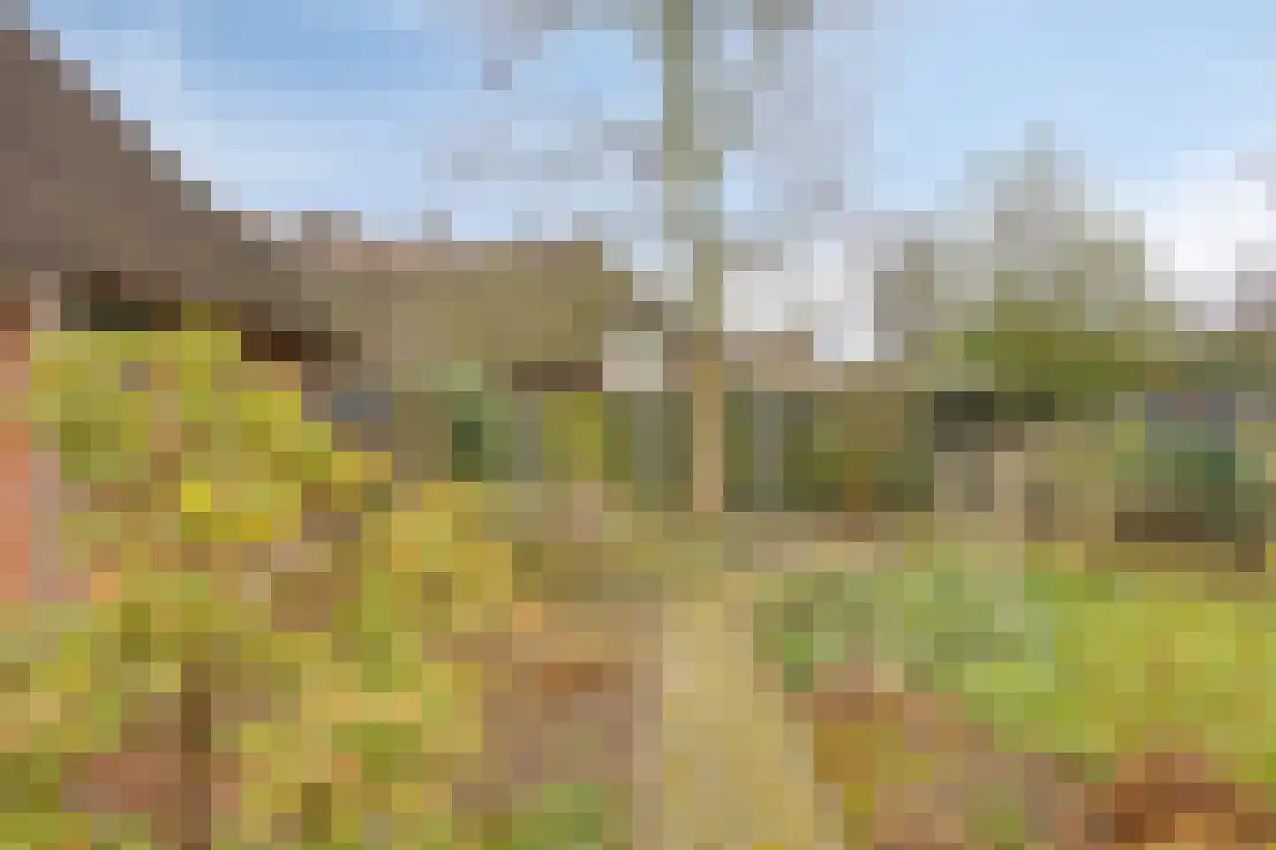 Trajanussingel 13 Beuningen Gld thumbnail 59