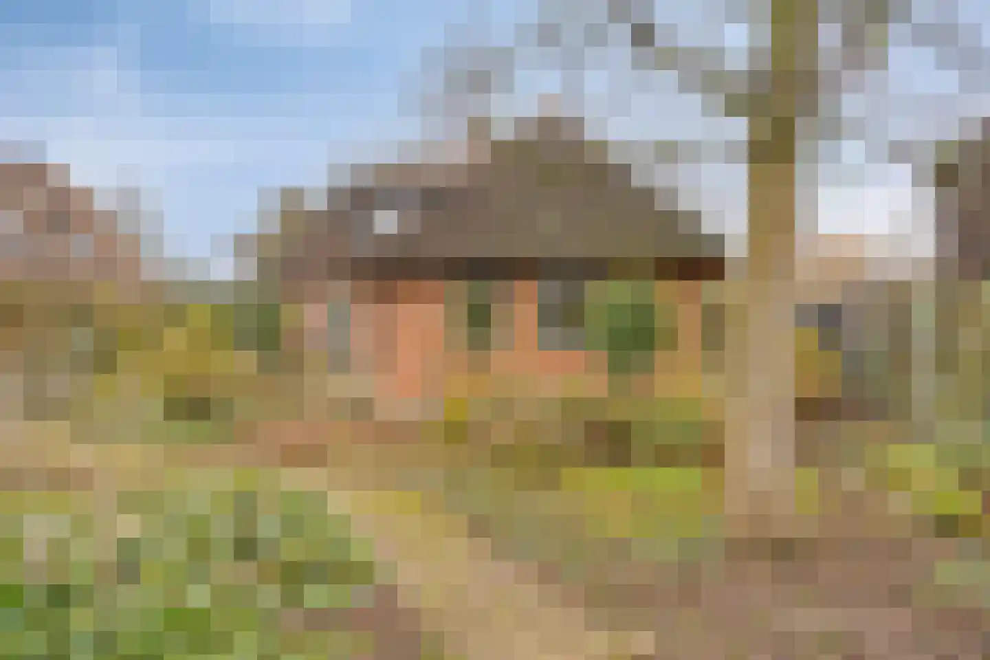 Trajanussingel 13 Beuningen Gld thumbnail 60